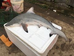 -都斛海鲜街