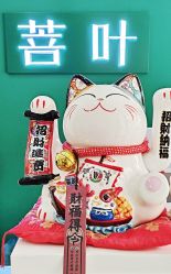 -菩叶脱发白发中心