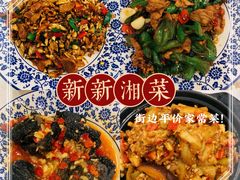 -新新湘菜馆(新中街二条店)