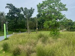 -两河城市森林公园