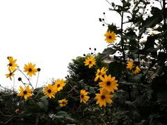 -润德轩清真菜馆(宏大路店)