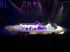 -珠海横琴长隆《卡卡虎奇遇记》