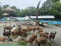 -西安秦岭野生动物园