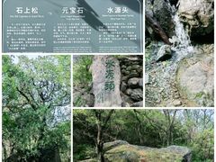 -国家植物园