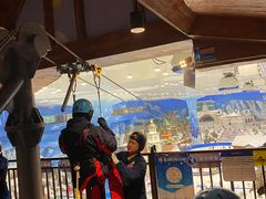 -长沙湘江冰雪世界