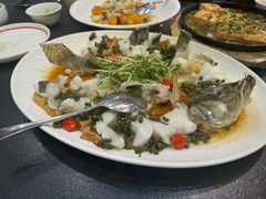 -飞尝蚝·顺德菜·鱼生(顺德总店)