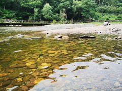 -白河湾生态旅游一条川