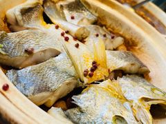 砂锅焗黄花鱼-1937青岛老味道·海肠捞饭·青岛菜(大鲍岛栈桥店)