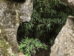 -山王坪喀斯特国家生态公园
