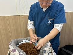 -申普宠物医院·眼科·心内科·影像科(普陀分院)