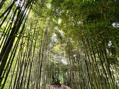 -成都杜甫草堂博物馆