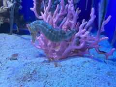 -多彩贵州城极地海洋世界