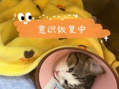 -美美宠物诊疗中心·异宠·骨科(滨江东信分院)