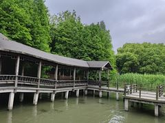 -溱湖国家湿地公园