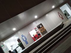 -野狸岛