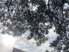 -西双版纳傣族园