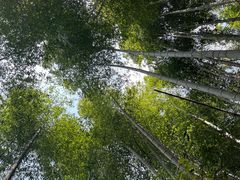 -山沟沟景区