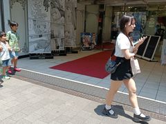 -秋叶原电器街