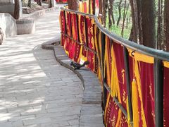 -红螺寺