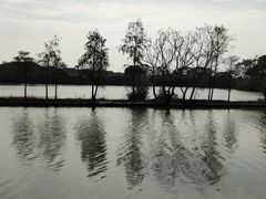 -大湾区中央湿地公园