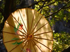 -玉石林风景区