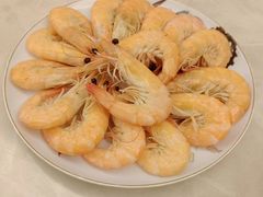 -爱贝尔高端月嫂(母婴护理)
