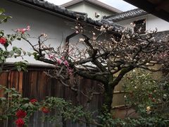 -中村藤吉(本店)