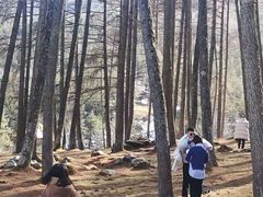 -硗碛藏寨·神木垒景区