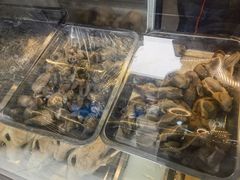 -齐家扬州老鹅(东关街店)