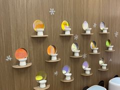 -COLOR PETS 撸猫馆·购猫·猫咖(长风大悦城店)