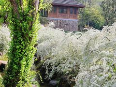 -中国茶叶博物馆(双峰馆区)