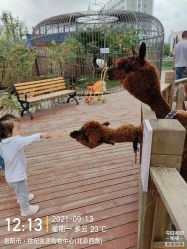 -三分地生态园·儿童乐园