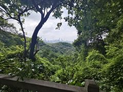 -阿婆牛杂·广府非遗地标美食(云山天地店)
