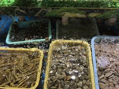-鑫悦楼煎蟹·16年海鲜大排档