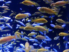 -成都浩海立方海洋公园