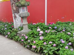 景点-宝光寺