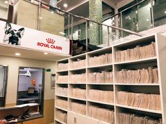 -爱侣宠医·鹦鹉专科·小型哺乳类·异宠专科(灵石路店)