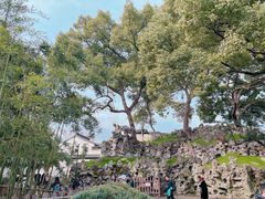 -绍兴鲁迅故里·沈园景区