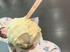 -野人先生现做冰淇淋(西安赛格店)