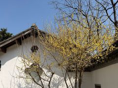 -无锡梅园公园