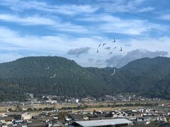 -无有景观餐厅·铜瓢牛肉·下午茶