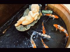 -金泽大酒店·卢塞恩餐厅·年夜饭春节连市