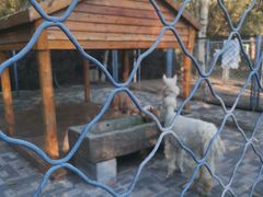 -长白岛森林公园