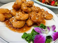 -新侨小馆(东直门北小街店)