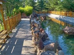 -汉拿山温泉度假酒店