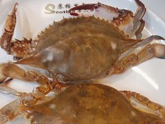 -苏格里岛自助海鲜烤肉(中州万达店)