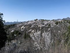 -白水寺森林公园