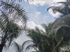 -深圳湾公园(南山区)