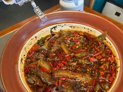 情妹耙泥鳅-情妹耙泥鳅·江湖川菜(科华店)