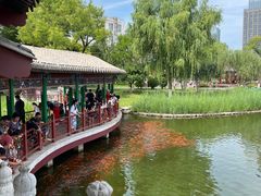 -西海子公园
